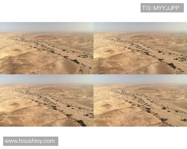 探索弗格的魅力与影响力：从历史到现代的全景视角